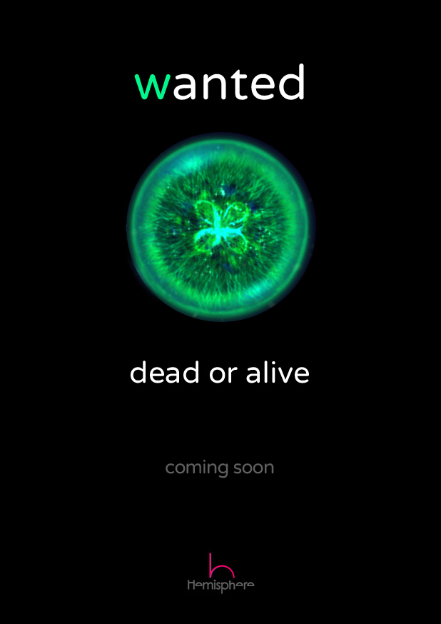 Wanted, Dead or Alive