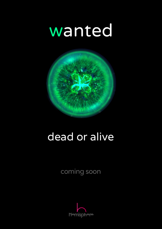 Wanted, Dead or Alive