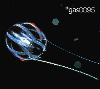 Gas0095, at Microscopics